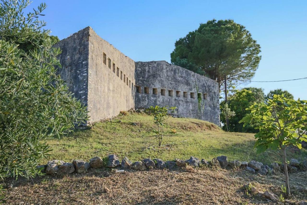Villa Omnia - Kommeno Bay Dassia  Buitenkant foto